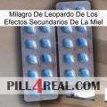 Leopard Miracle Of Honey Side Effects viagra4